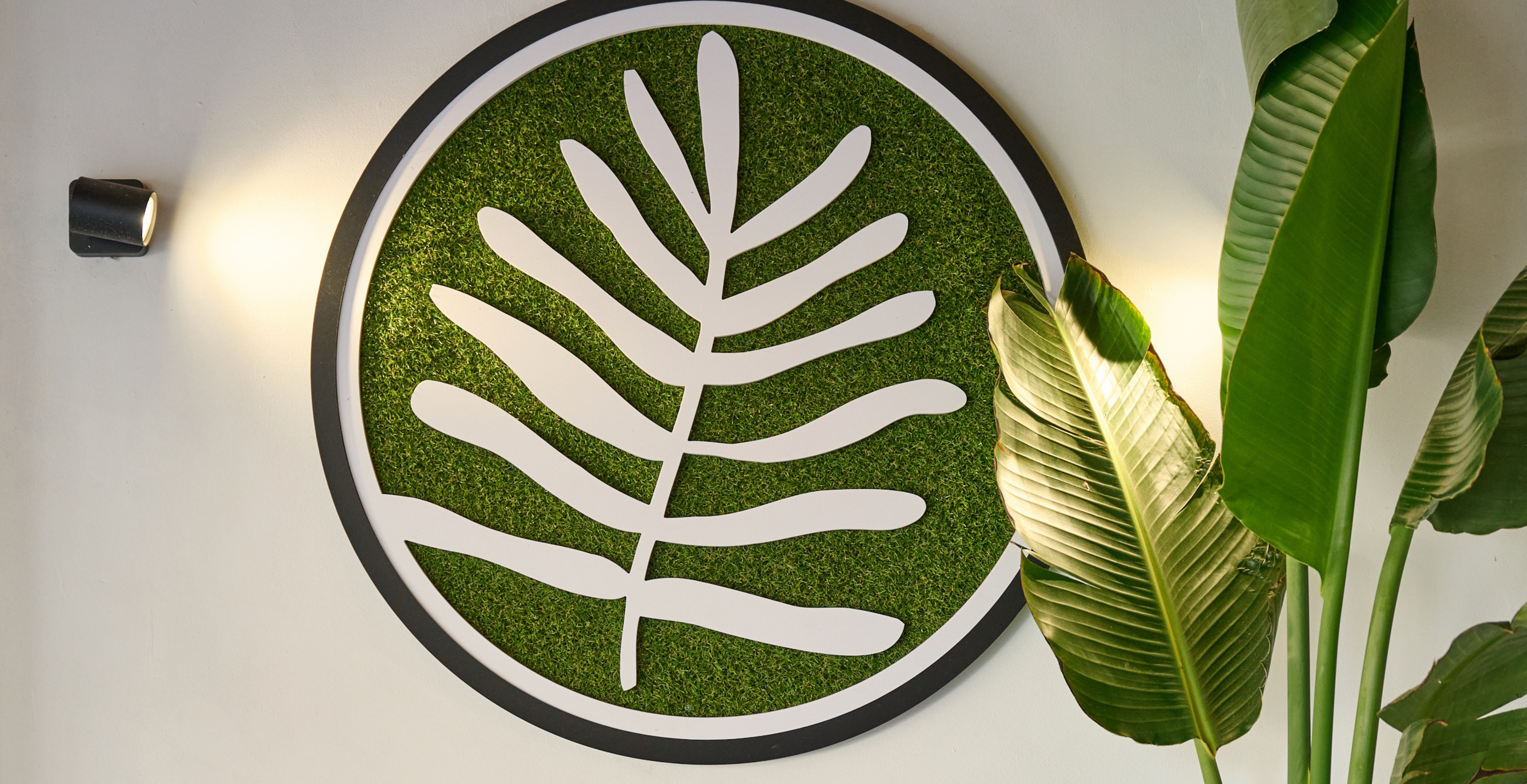plantshack1_2.png